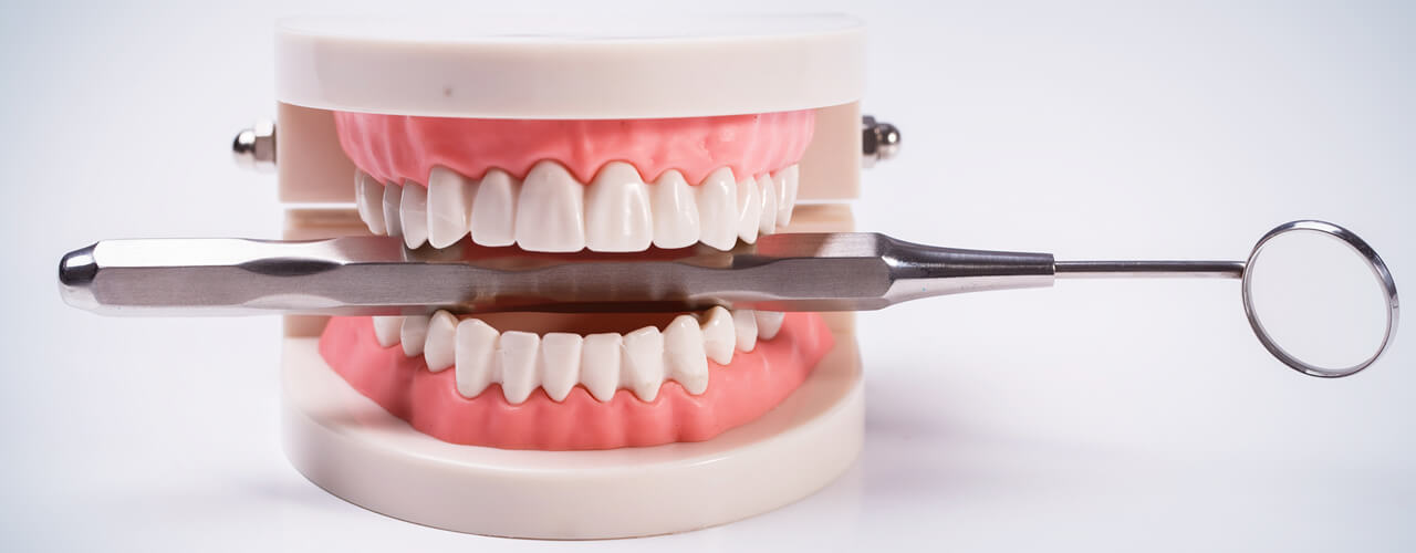 Studio Dentistico Oriolo | Ostia Lido | Come Sono Fatti I Denti